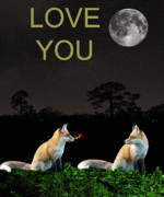 Eric Kempson - Eftalou Foxes LOVE YOU