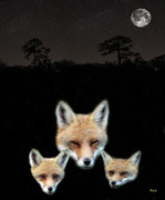 Eric Kempson - Eftalou Foxes one