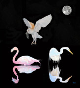 Eric Kempson - Kalloni Salt Flats At Night