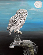 Eric Kempson - Little Owl on Tap