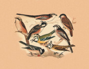 Eric Kempson - Tits